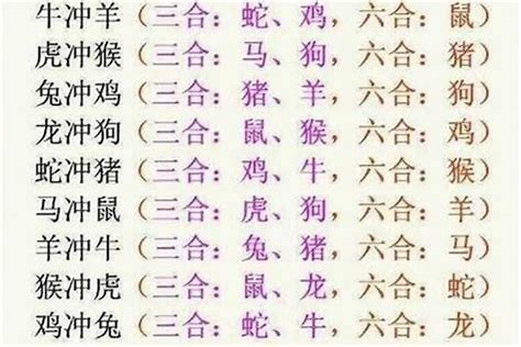 兔六合|十二生肖6合3合对照表 十二生肖三合六合表